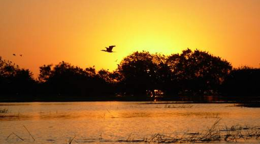 Onde Fica o Pantanal
