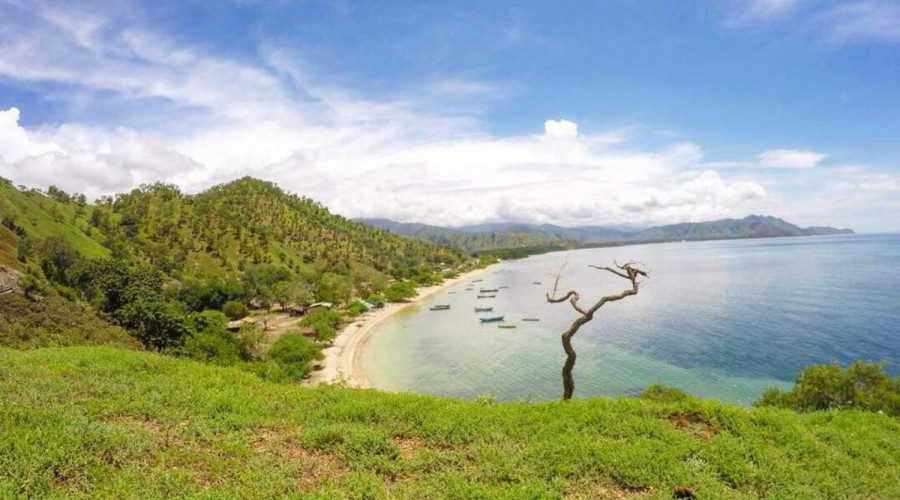 5 curiosidades sobre o Timor-Leste